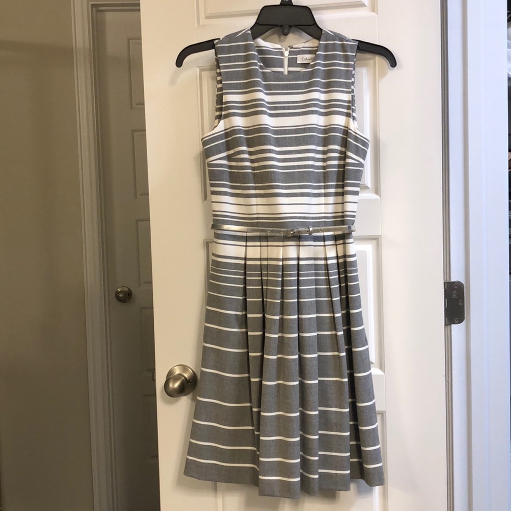 Calvin Klein Fit and Flare Dress
